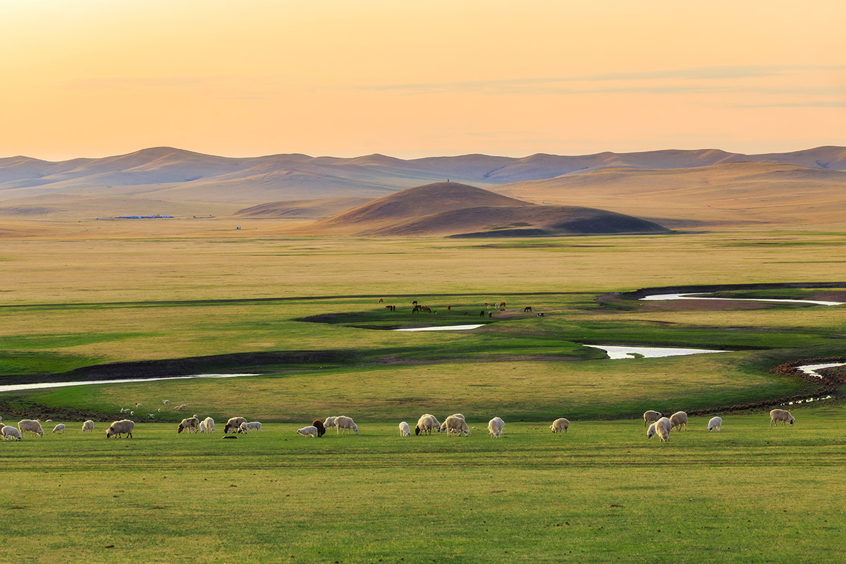 steppes de mongolie