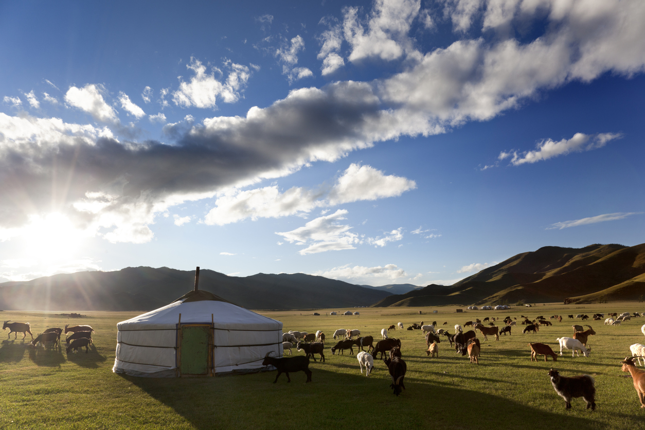 camp yourte mongolie